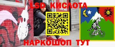 дмт Берёзовский