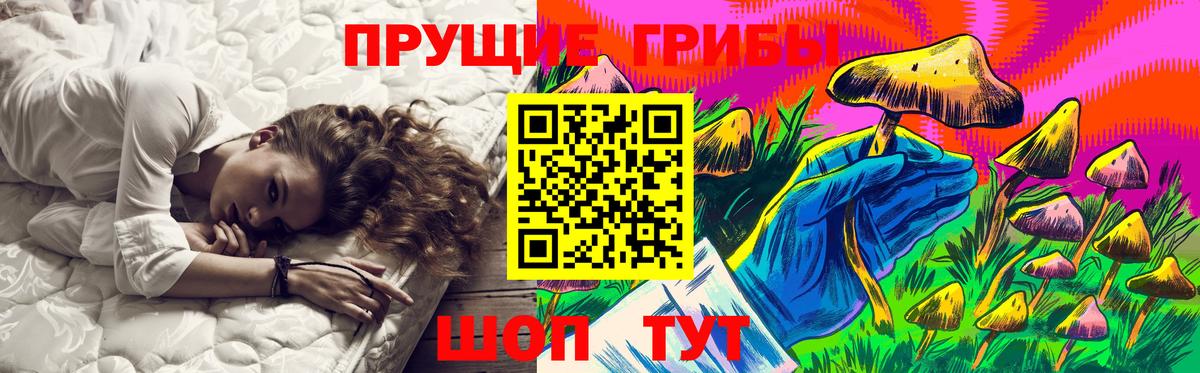 Галлюциногенные грибы Psilocybe Ивантеевка