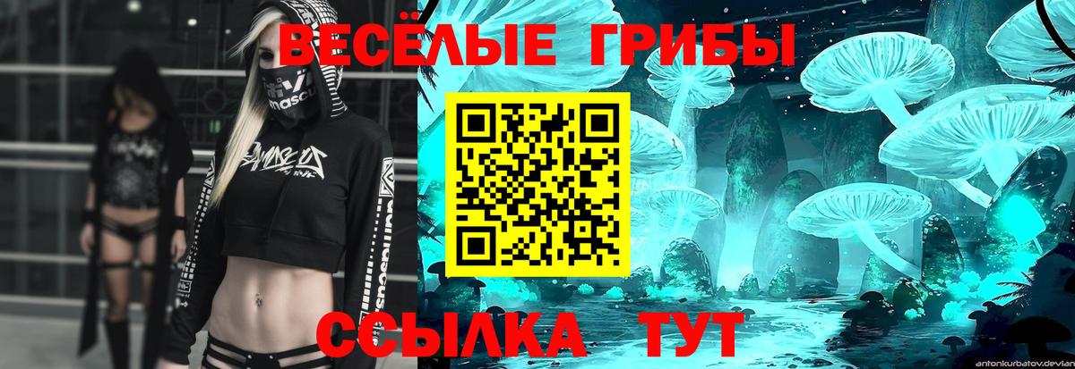 Псилоцибиновые грибы Psilocybe  Галлюциногенные грибы ЛСД  Вход с VPN  Ивантеевка 
